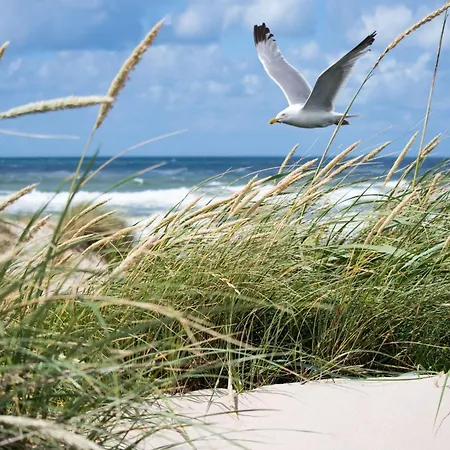 Beau Soleil Apartment Knokke-Heist